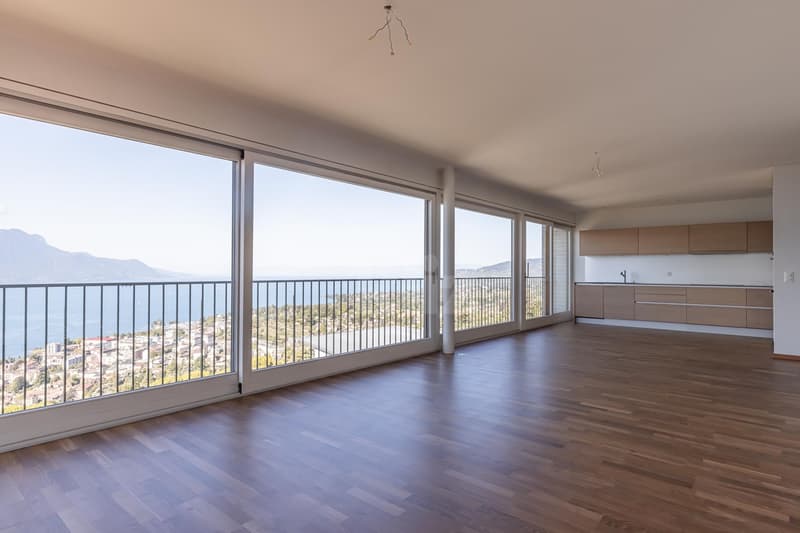 Magnifique appartement avec vue panoramique sur le lac (4)