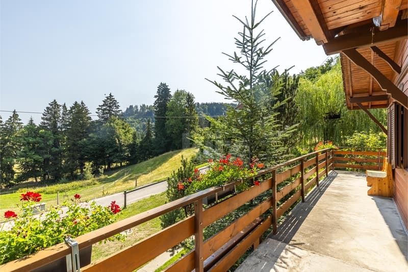 Rare ! Joli chalet au coeur de la nature (10)