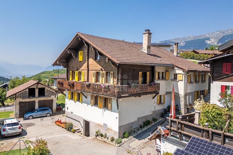 Belle maison rénovée avec jardin (2)