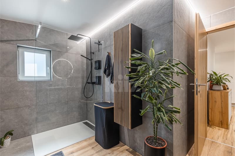 Belle maison rénovée avec jardin (9)