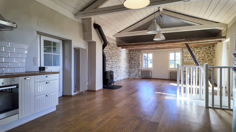 Idyllique maison du 19e rénovée avec goût, objet unique (2)