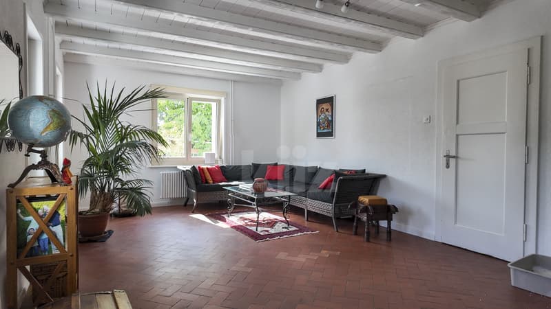 Belle maison intégralement rénovée (5)