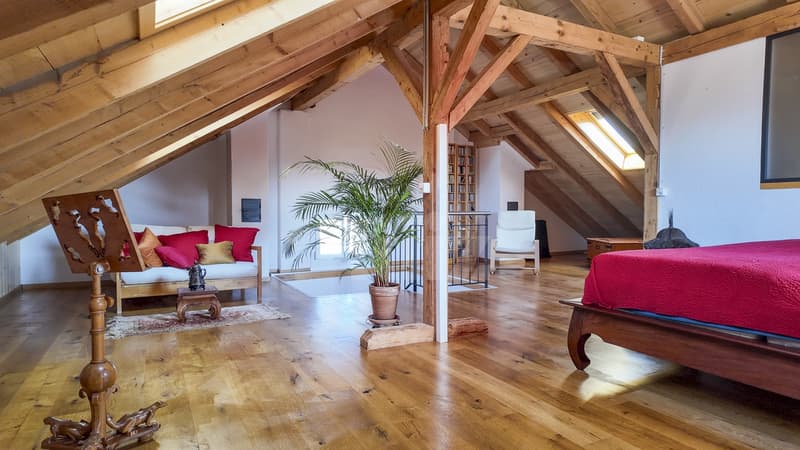 Belle maison intégralement rénovée (11)