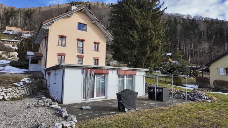 Belle maison de 2 appartements rénovés avec grands jardins (1)