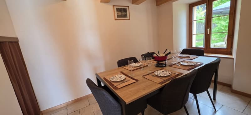 Belle maison de 2 appartements rénovés avec grands jardins (5)