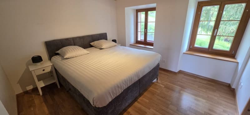 Belle maison de 2 appartements rénovés avec grands jardins (7)