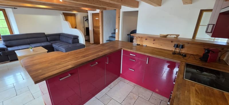 Belle maison de 2 appartements rénovés avec grands jardins (4)