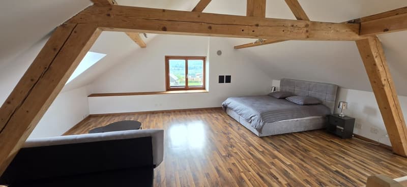 Belle maison de 2 appartements rénovés avec grands jardins (9)
