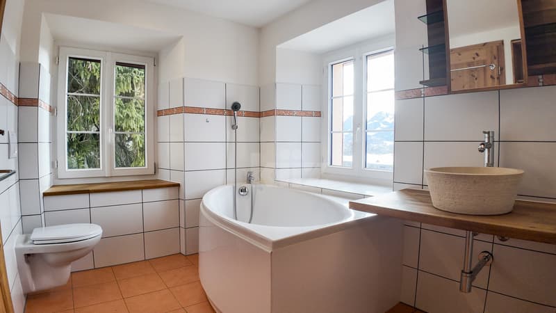 Belle maison de 2 appartements rénovés avec grands jardins (8)
