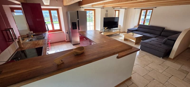 Belle maison de 2 appartements rénovés avec grands jardins (2)