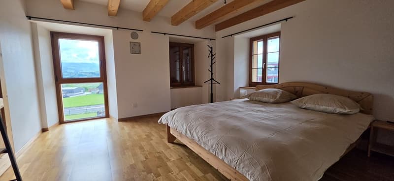 Belle maison de 2 appartements rénovés avec grands jardins (6)