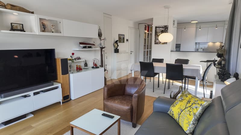Magnifique attique avec grande terrasse et vue sur le lac (4)