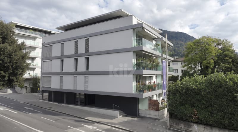 Magnifique attique avec grande terrasse et vue sur le lac (12)