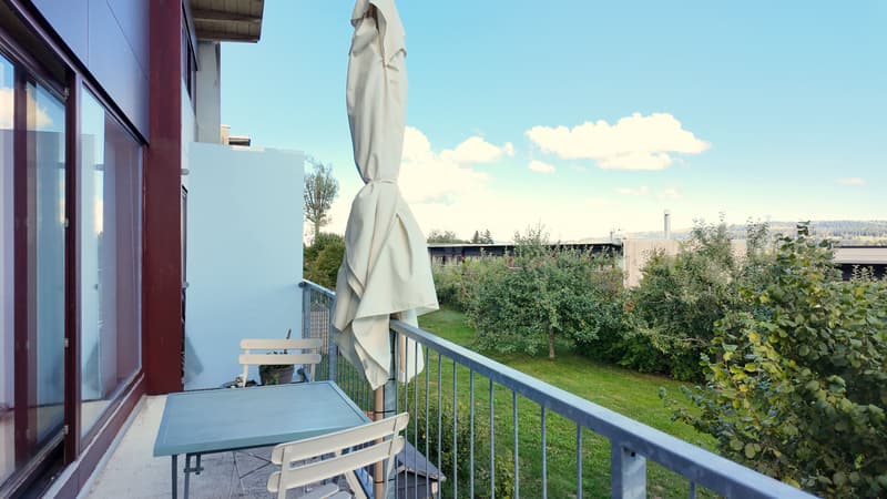 Superbe maison mitoyenne avec jardin arboré (5)