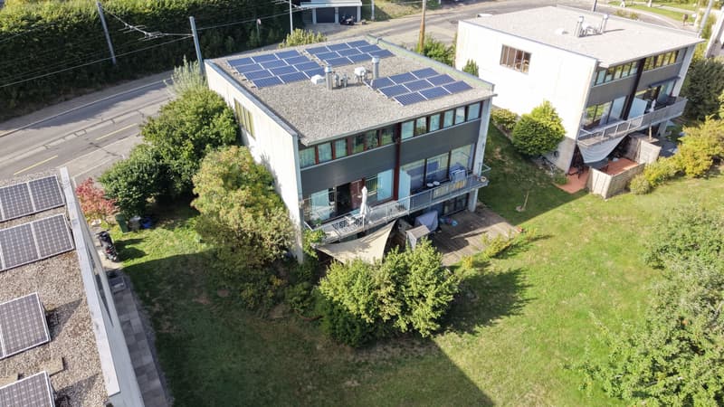 Superbe maison mitoyenne avec jardin arboré (1)