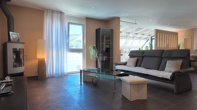 Superbe duplex avec terrasse, jardin et jardin d'hiver (6)