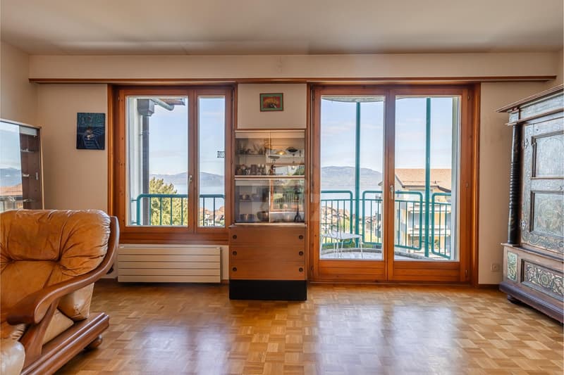 Charmant appartement avec vue sur le lac et les montagnes (2)