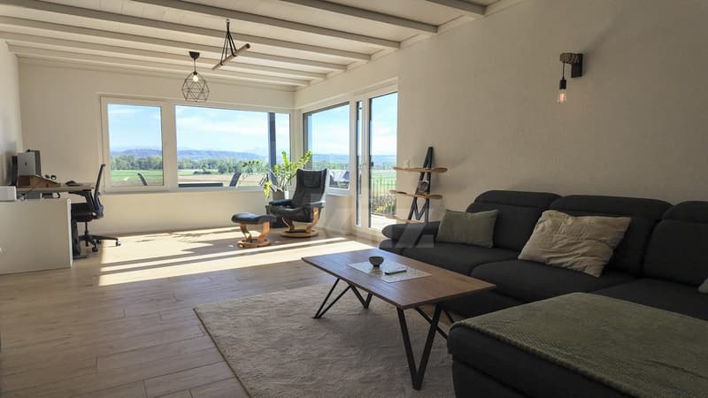Une maison rénovée pleine de potentiel (3)