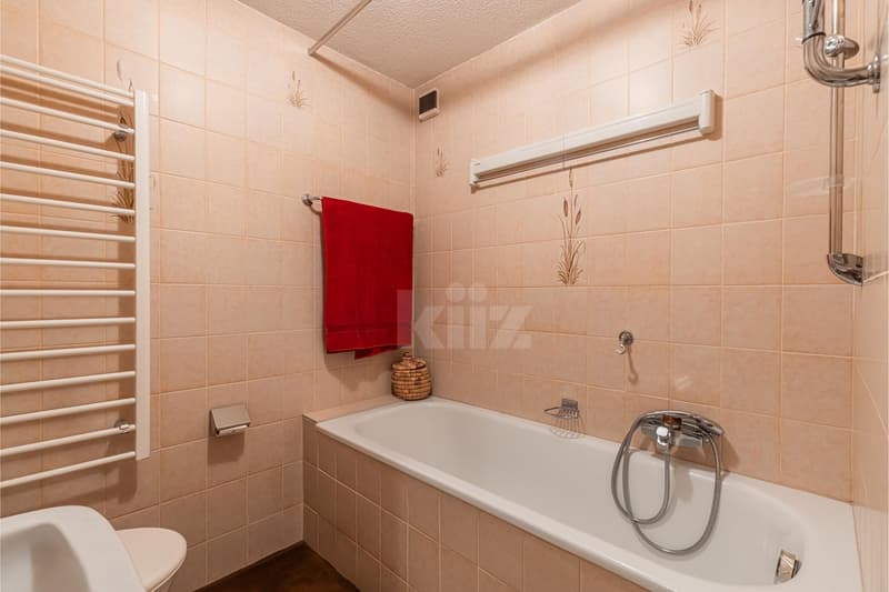 Charmant appartement en duplex avec terrasse (9)