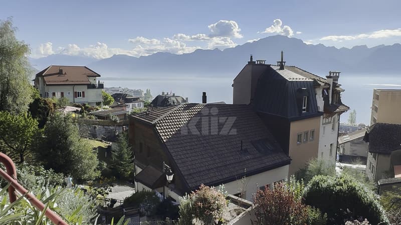 Bel appartement rénové avec balcon et vue panoramique (4)