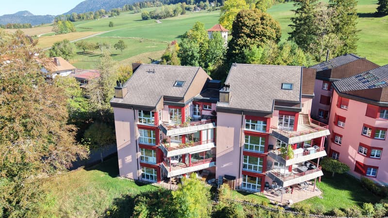 Superbe duplex avec terrasse et vue dégagée (12)