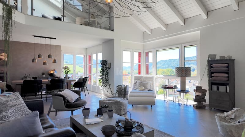 Superbe duplex avec terrasse et vue dégagée (1)