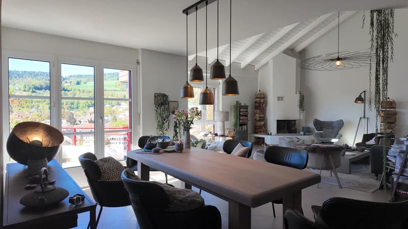 Superbe duplex avec terrasse et vue dégagée (3)