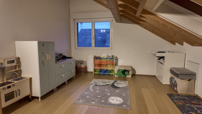Duplex lumineux avec vue sur la Broye (10)