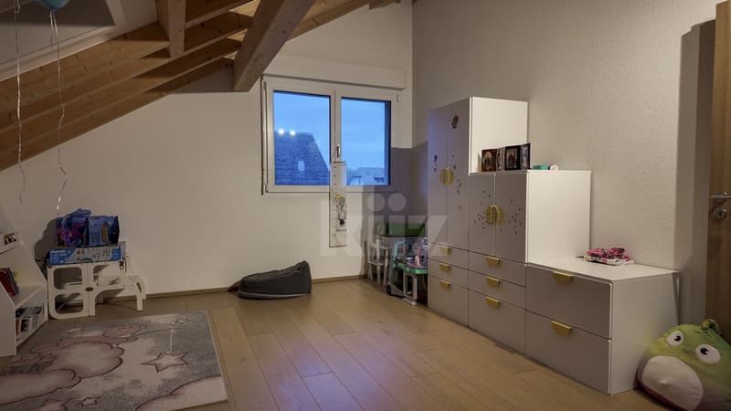 Duplex lumineux avec vue sur la Broye (9)