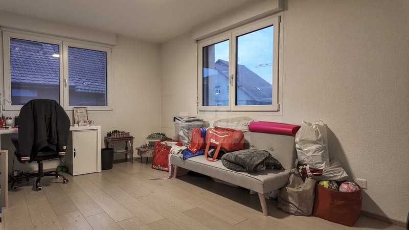 Duplex lumineux avec vue sur la Broye (6)