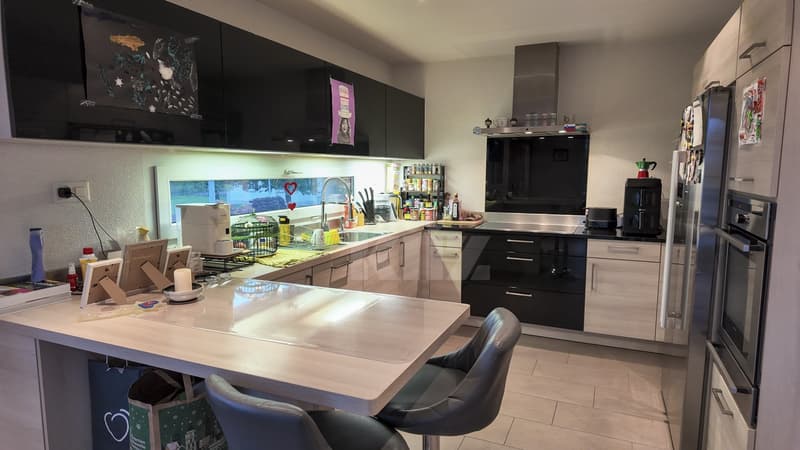 Duplex lumineux avec vue sur la Broye (2)