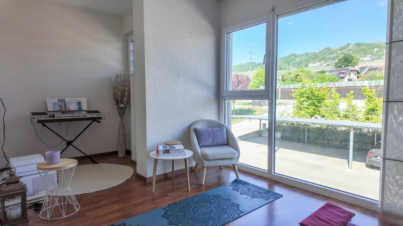 Beautiful semi-detached house with garden and lake view (8)