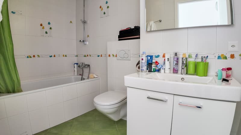 Beautiful semi-detached house with garden and lake view (11)