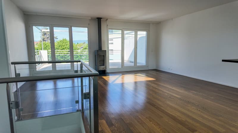 Beautiful attic duplex with balcony and large terrace (2)