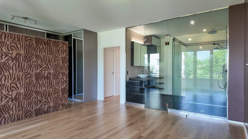 Beautiful attic duplex with balcony and large terrace (9)