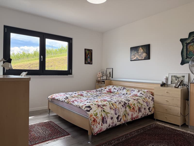 Maison récente de trois appartements avec vue sur le lac (7)