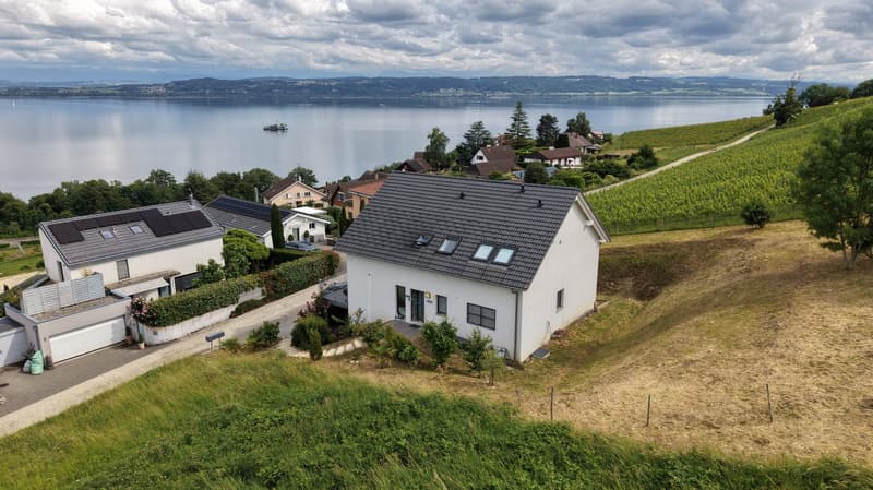 Maison récente de trois appartements avec vue sur le lac (1)