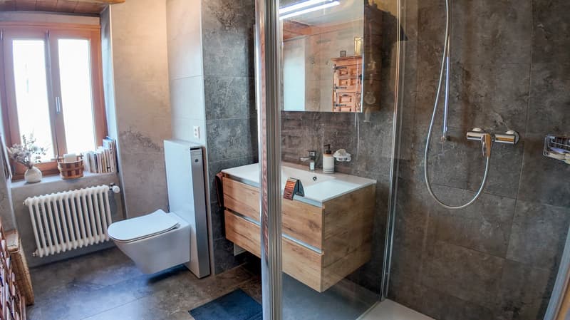 Splendide maison villageoise rénovée avec studio indépendant (8)