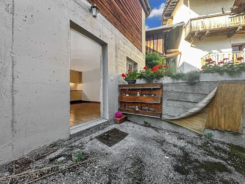 Vex - Charming 2.5 room apartment renovated with terrace (7)