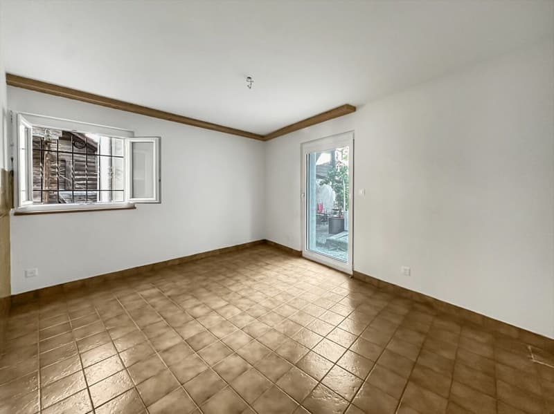 Vex - Charming 2.5 room apartment renovated with terrace (2)
