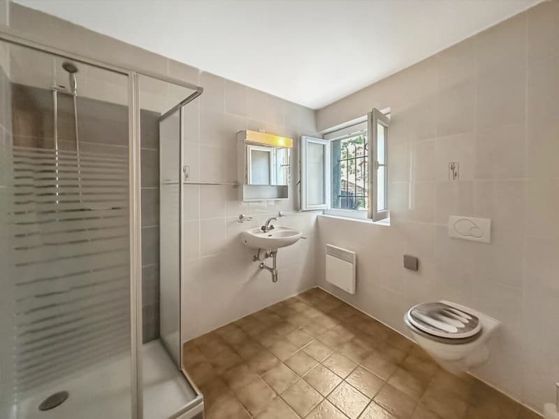 Vex - Charming 2.5 room apartment renovated with terrace (3)
