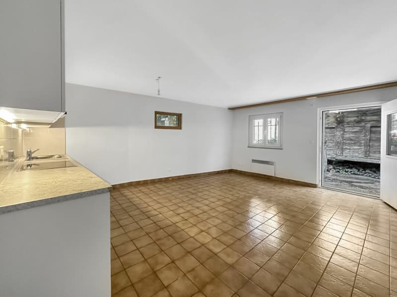 Vex - Charming 2.5 room apartment renovated with terrace (1)