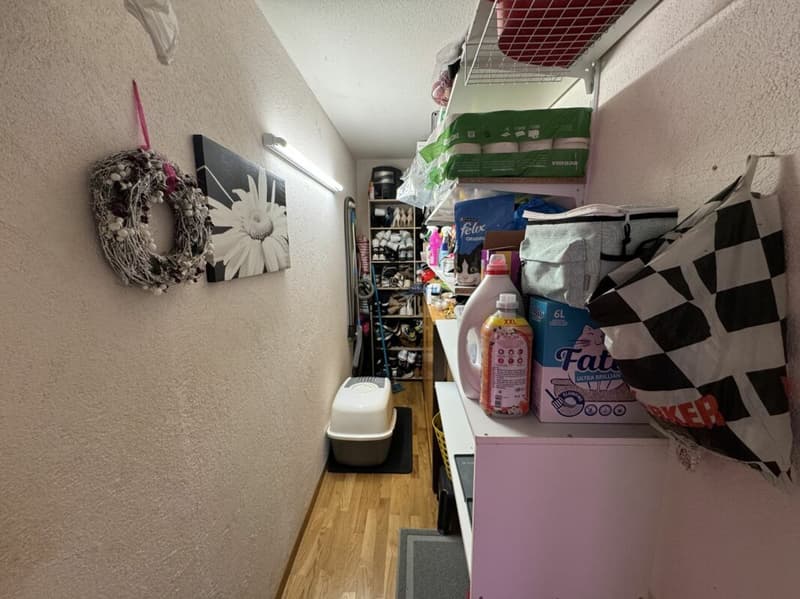 4.5-room crossing apartment (8)