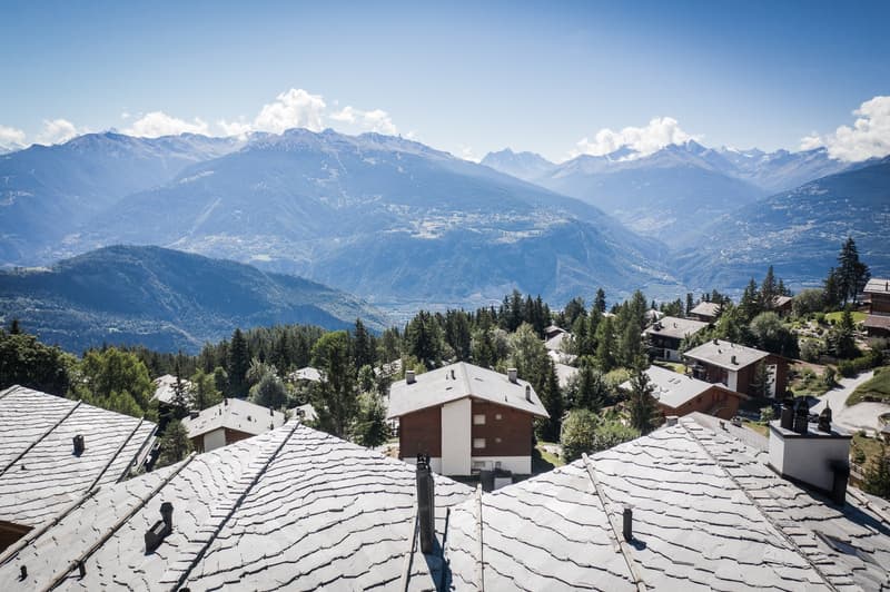 Small residential houses, located in mountainous area, surrounded by trees, with stunning mountain views