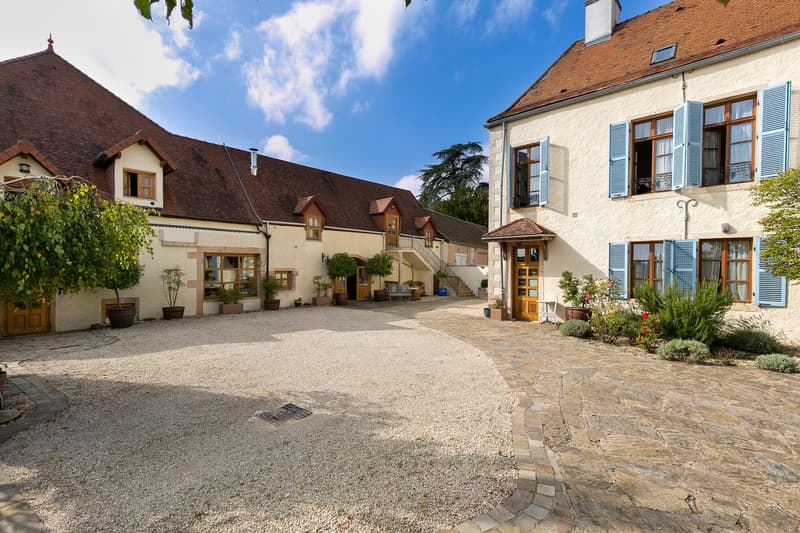 Historic private estate in the heart of Gevrey Chambertin, Burgundy (19)