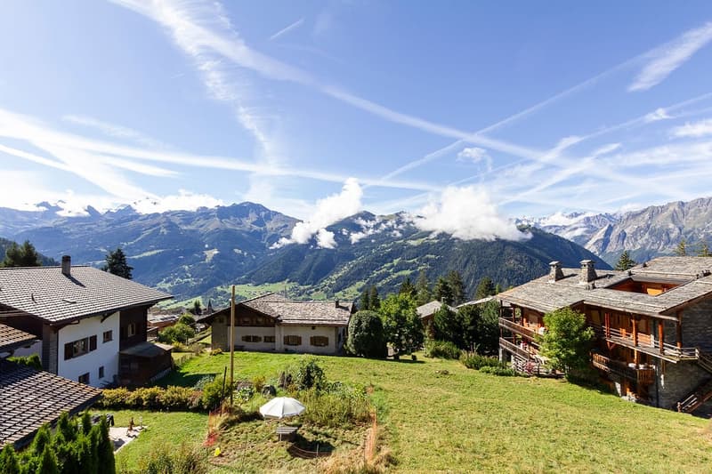 Large grassy yard with various houses, trees, mountains in the background