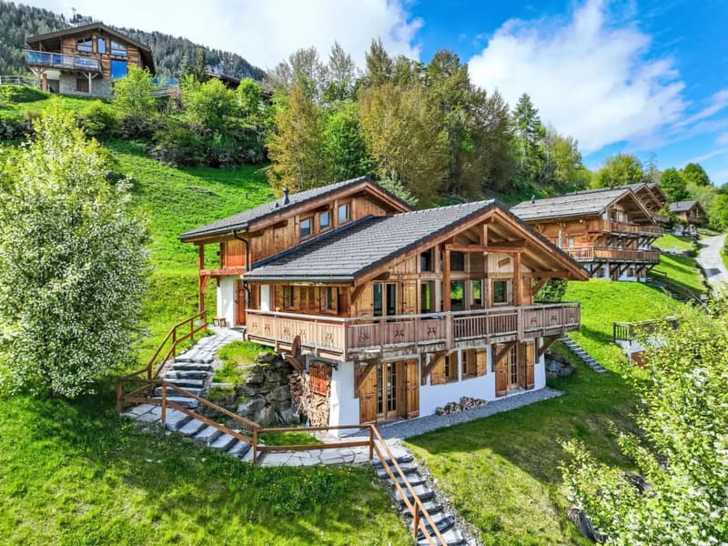 Una casa da sci ben progettata con accesso diretto alle piste. (9)