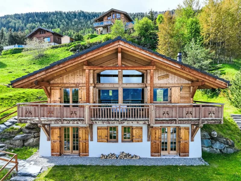 Una casa da sci ben progettata con accesso diretto alle piste. (10)