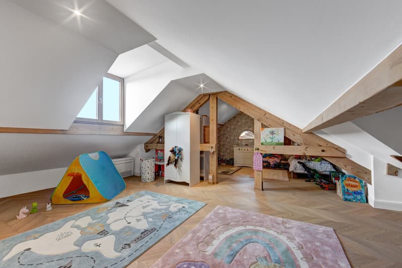 Superbe villa de 320 m² entièrement rénovée avec des caractéristiques de haute gamme, à quelques pas du village de Jussy. (12)