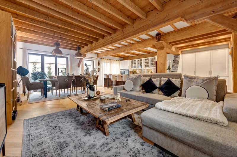 Superbe villa de 320 m² entièrement rénovée avec des caractéristiques de haute gamme, à quelques pas du village de Jussy. (4)